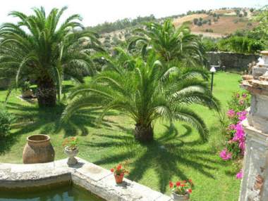 The garden