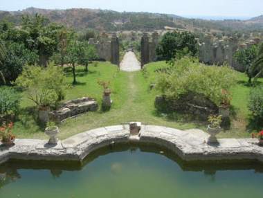 The garden