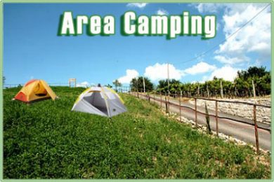 Camping area