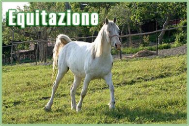 Equitazione