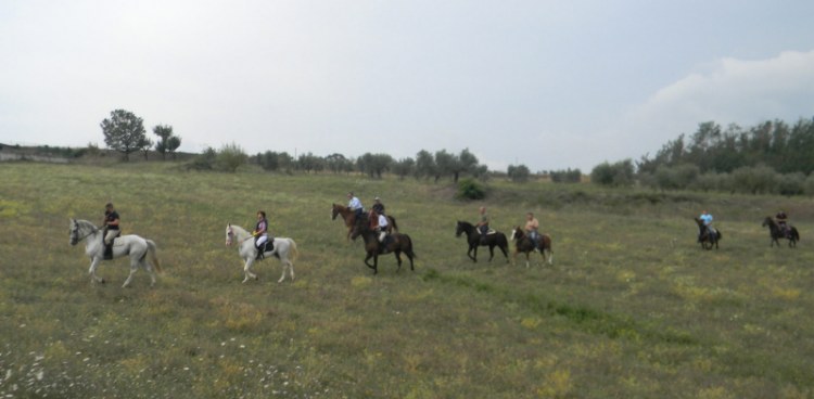 On horseback