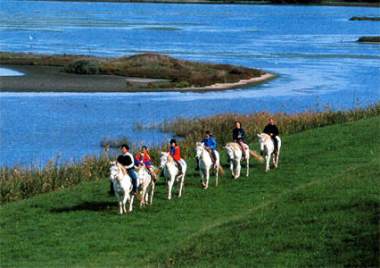 Passeggiata a cavallo