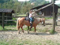 A cavallo