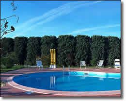 The swimming pool