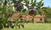 Agriturismo Radovic