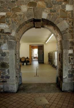 The wine cellar