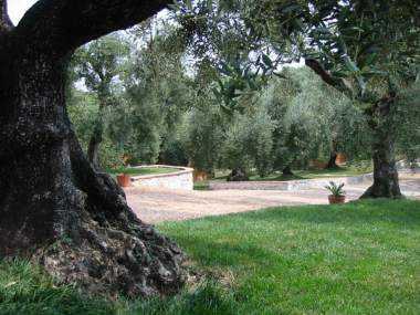 Giardino