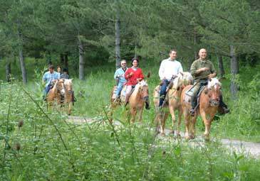 On horseback