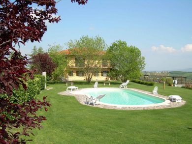 The swimming pool and the house