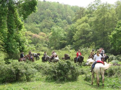 Horseback riding