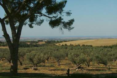 Panorama towards the sea