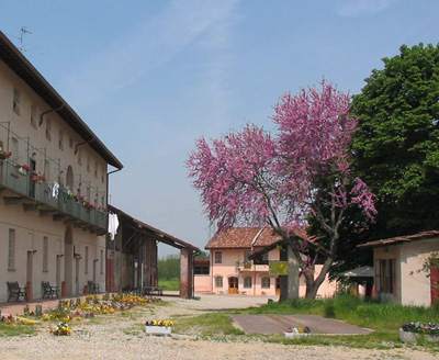 The courtyard