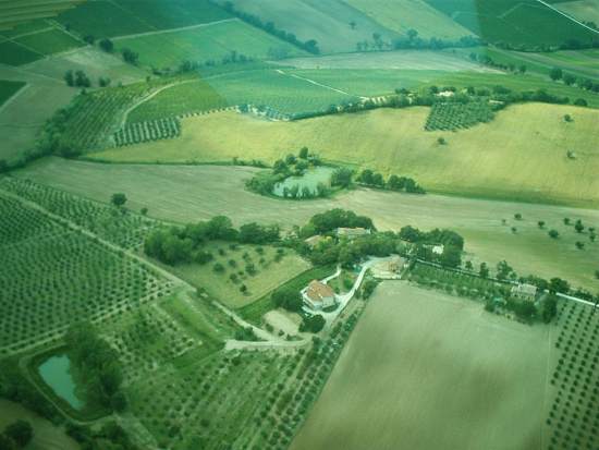Il Frutteto del Monte, a holiday farm in the province of Ancona