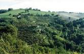 Azienda agrituristica Le Fontane