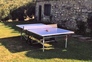 Il ping pong