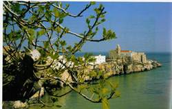 View of Gargano