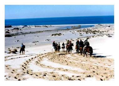 On horseback in the "Dune di Piscinas"