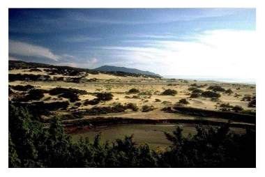 Le Dune di Piscinas