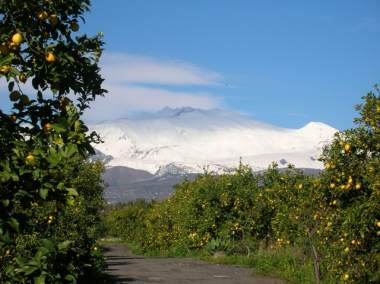 Fields with Etna in the background