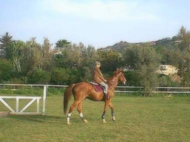 A cavallo