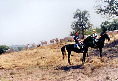 On horseback