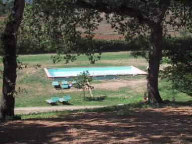 The swimming pool