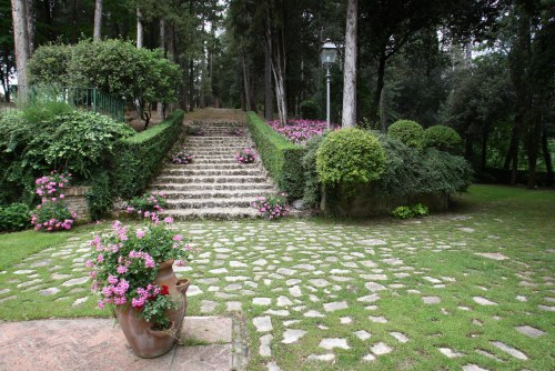 The garden