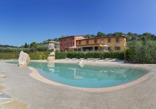 The swimming pool and the house